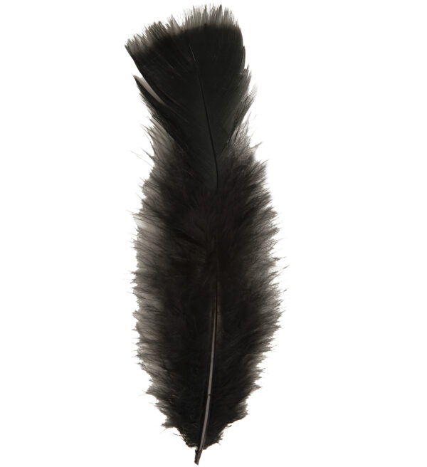 50 Piume Nero