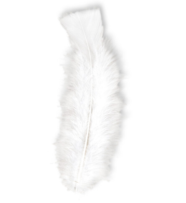 50 Piume Bianco
