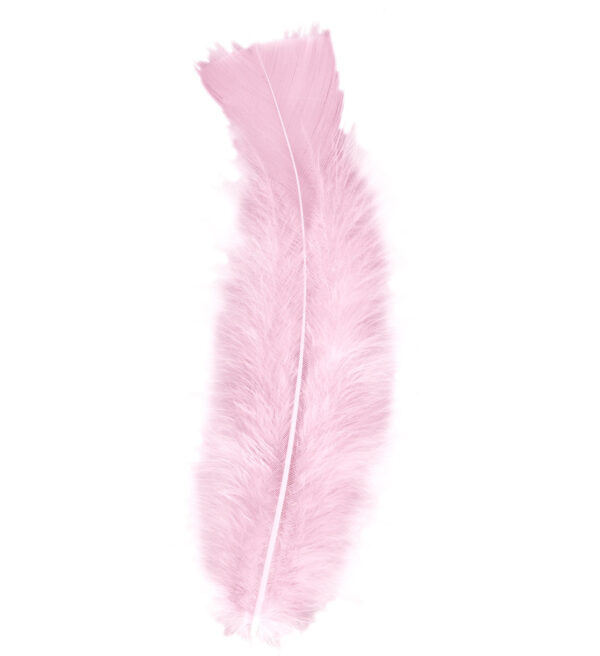 50 Piume Rosa Tenue