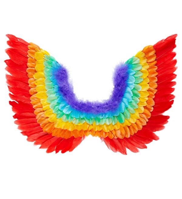Ali Piumate Arcobaleno