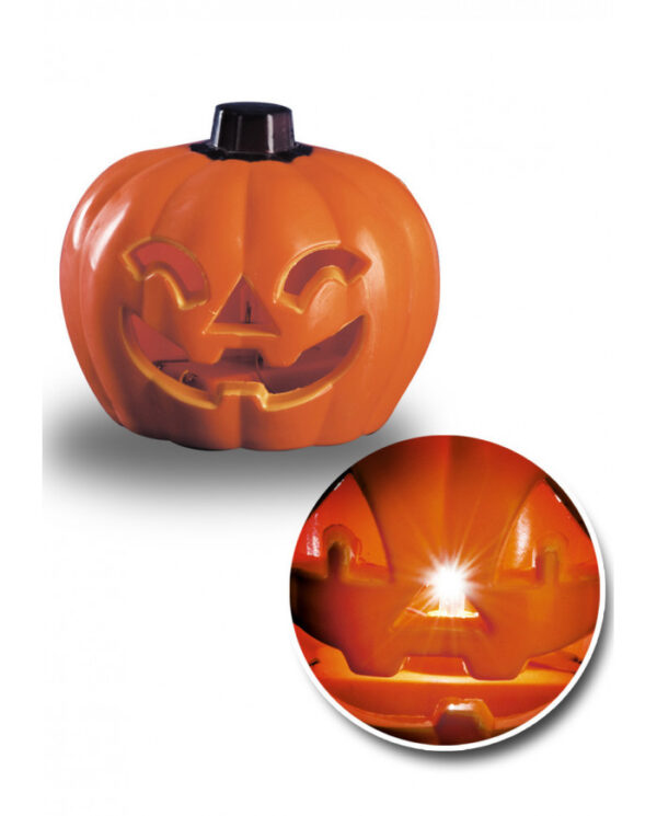 zucca