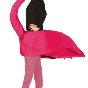 Costume fenicottero
