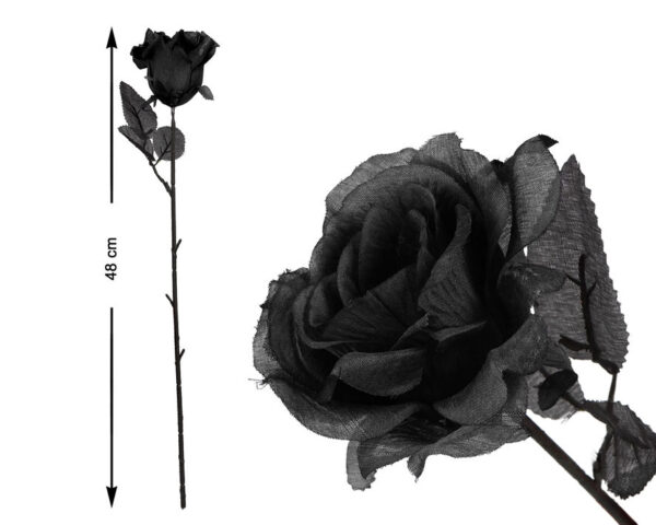 Rosa nera 48cm