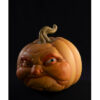 Zucca in resina